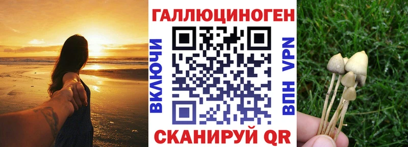 Псилоцибиновые грибы Psilocybe Туймазы