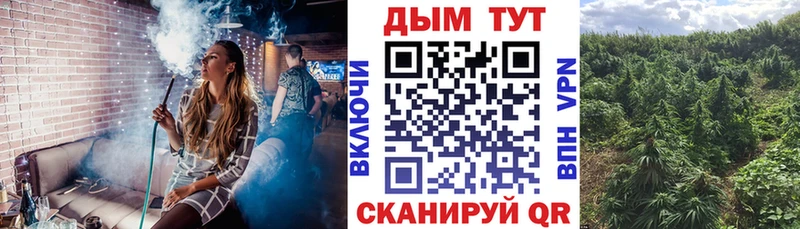 Шишки марихуана Ganja Туймазы